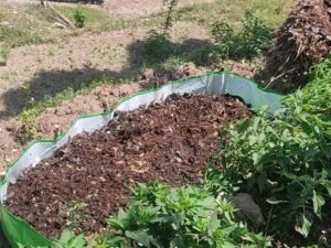 Vermi Compost Pack Pack