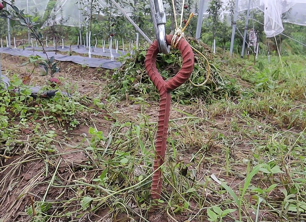 Anchor Iron - Image 3