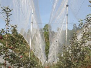 Anti Hail Net - Leno Pattern (3m x 100m)