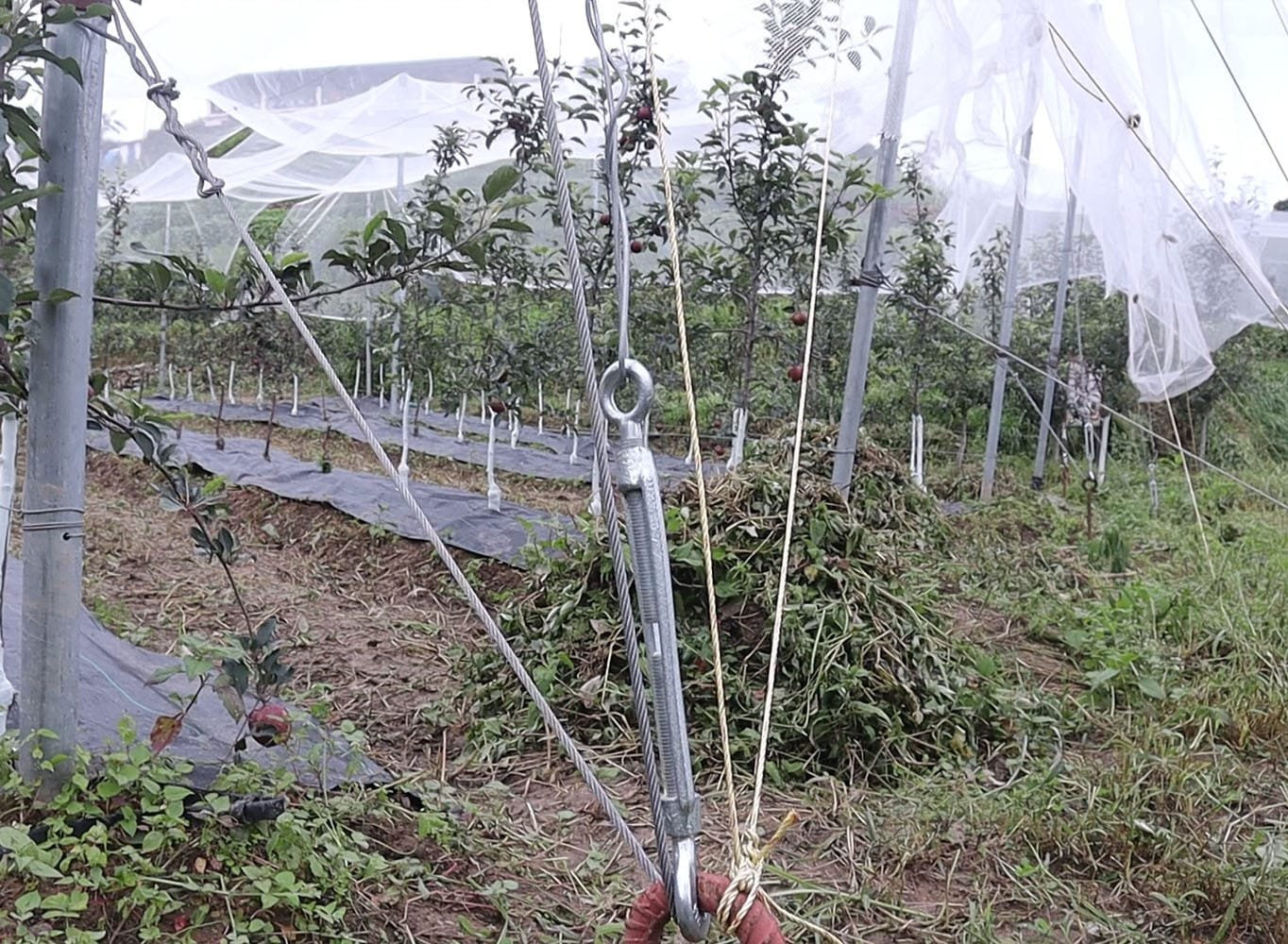 Turn Buckle - Adjuster 16mm and 20mm - Image 4