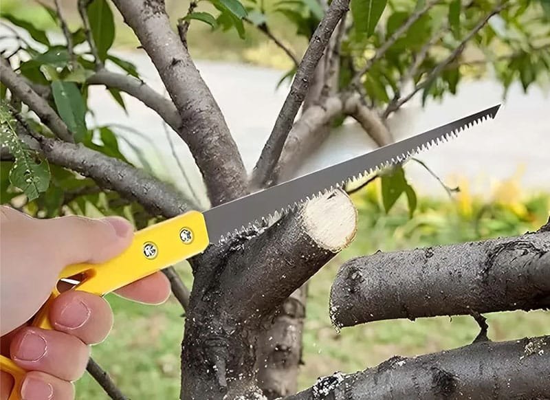 Pruning and Gardening Saw - Image 3